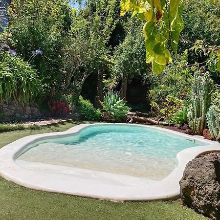Los Matos, Canarian House In Valleseco 外观 照片