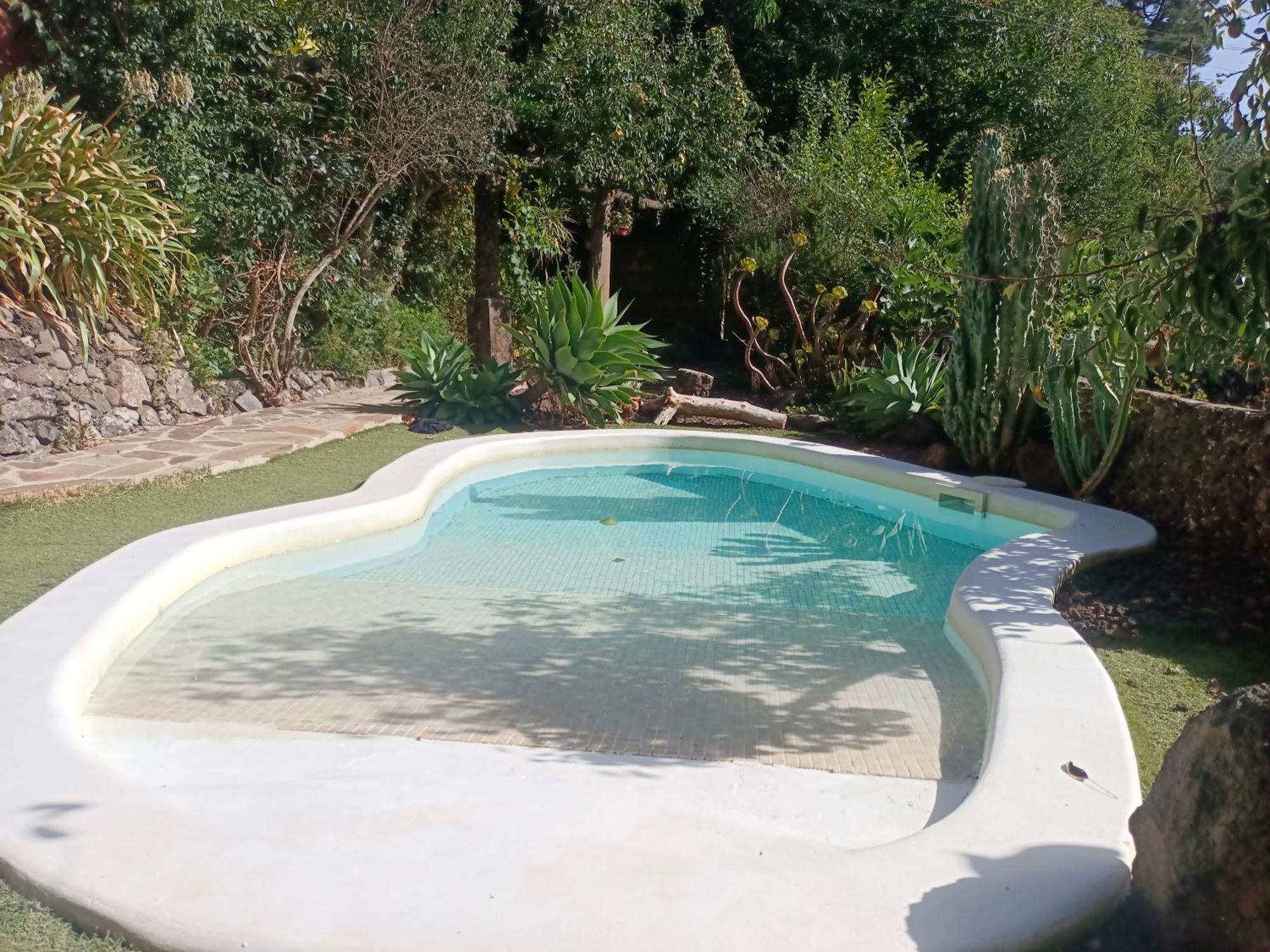 Los Matos, Canarian House In Valleseco 外观 照片