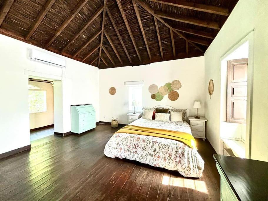 Los Matos, Canarian House In Valleseco 外观 照片