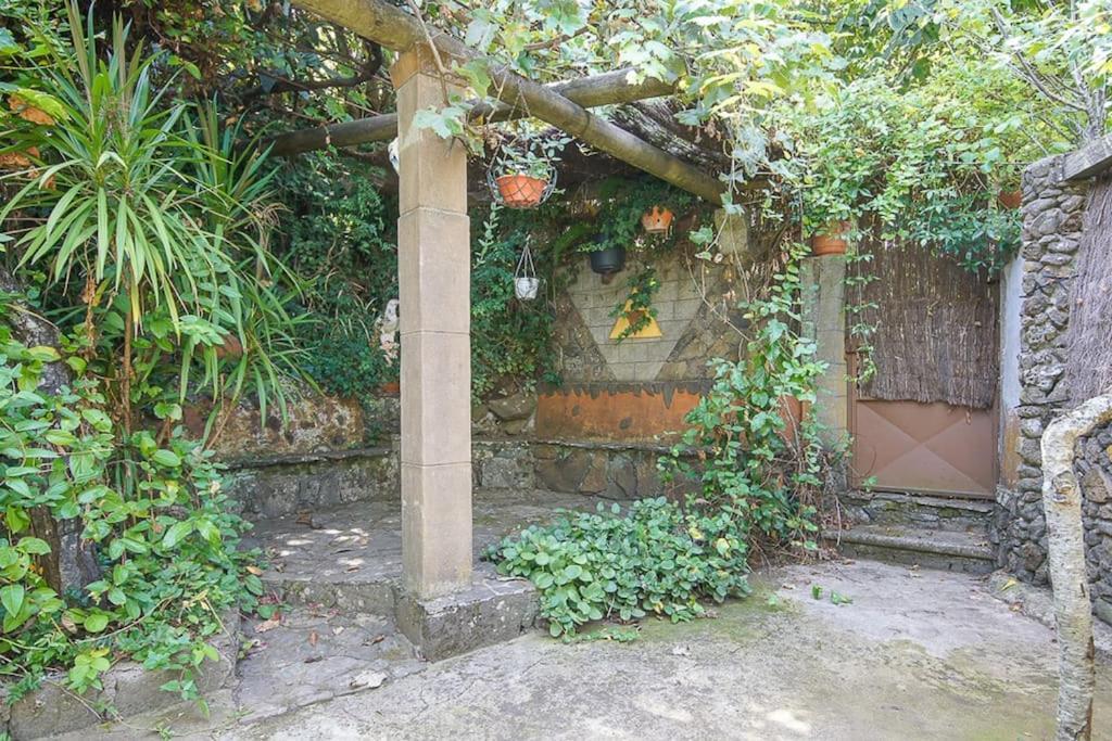 Los Matos, Canarian House In Valleseco 外观 照片