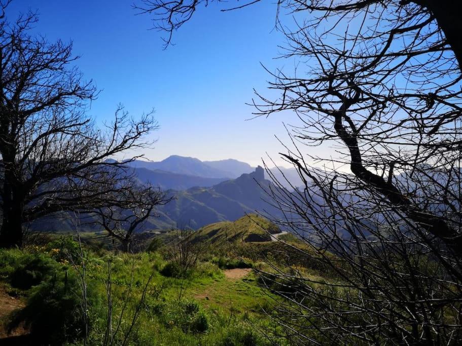 Los Matos, Canarian House In Valleseco 外观 照片