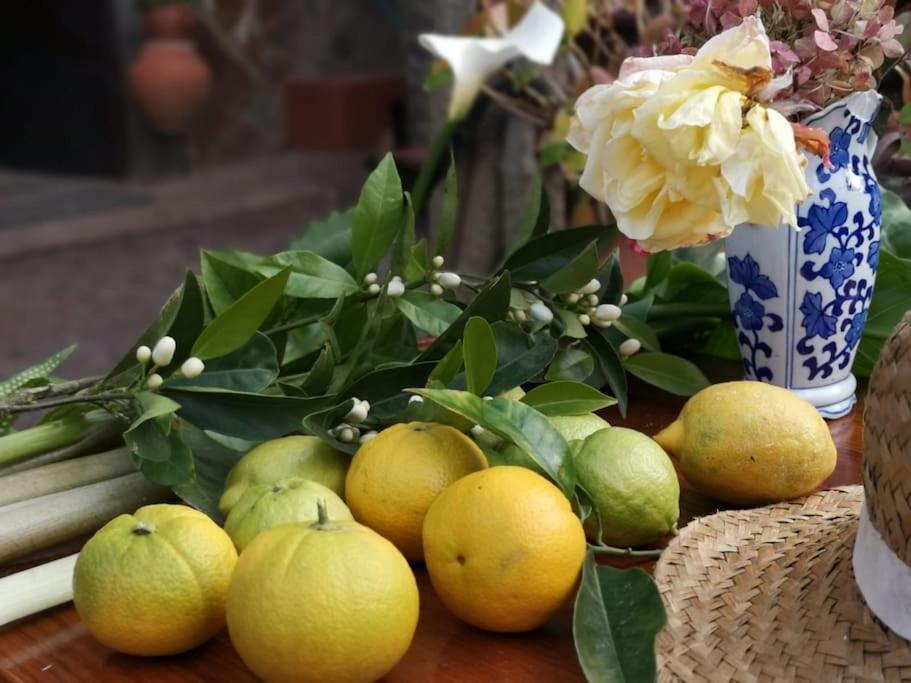 Los Matos, Canarian House In Valleseco 外观 照片