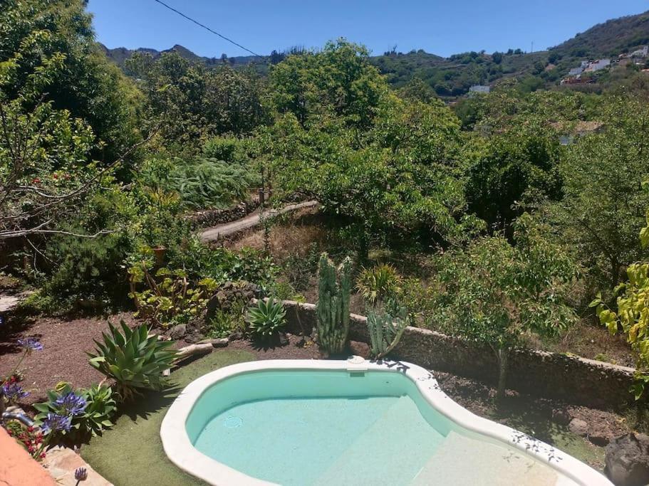 Los Matos, Canarian House In Valleseco 外观 照片
