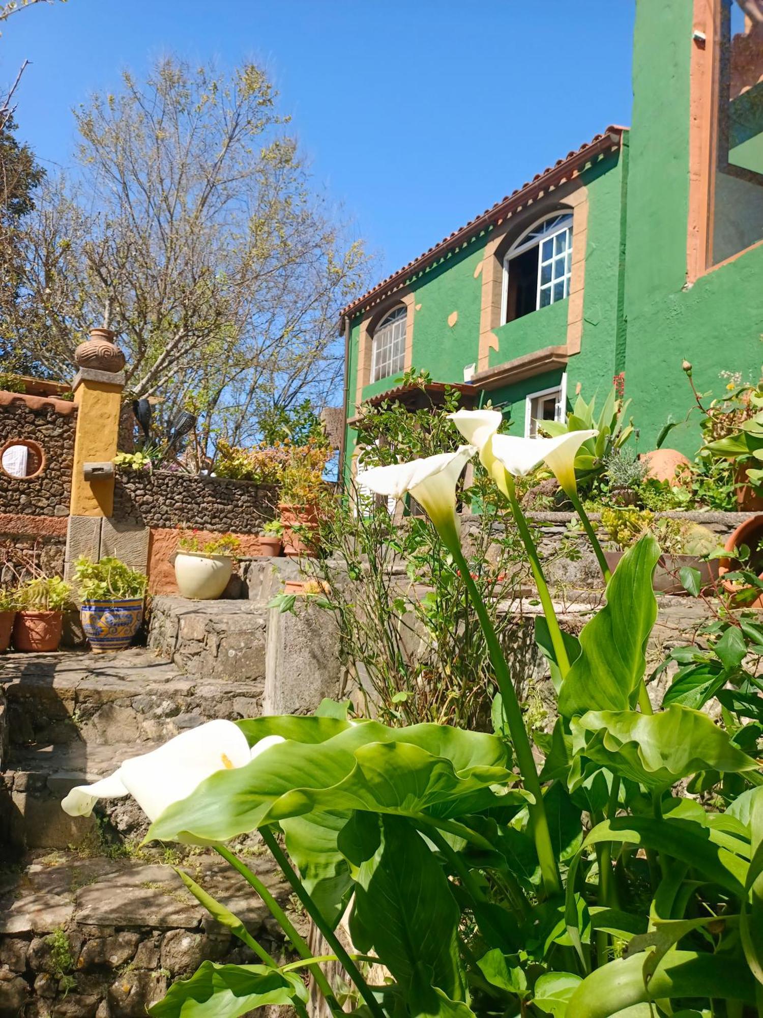 Los Matos, Canarian House In Valleseco 外观 照片